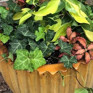 Meet your Posher, Rebecca